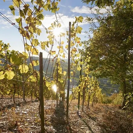 Rochter Zeltingen-Rachtig