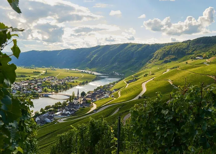 Rochter Zeltingen-Rachtig